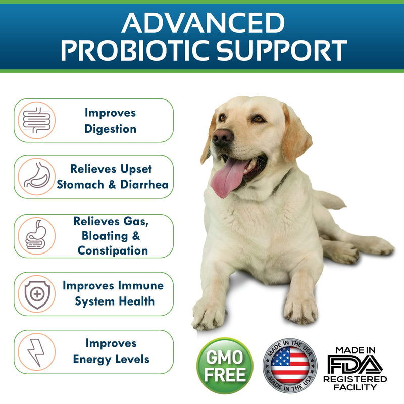 PureNutria Dog Probiotics Dog Supplements - for Dog Diarrhea, Upset Stomachs, Yeast, Gas , Dog Allergy and Dog Immune System Support - Made in USA - 12 Targeted Strains 5 Billion CFU - 120 Scoops - BeesActive Australia