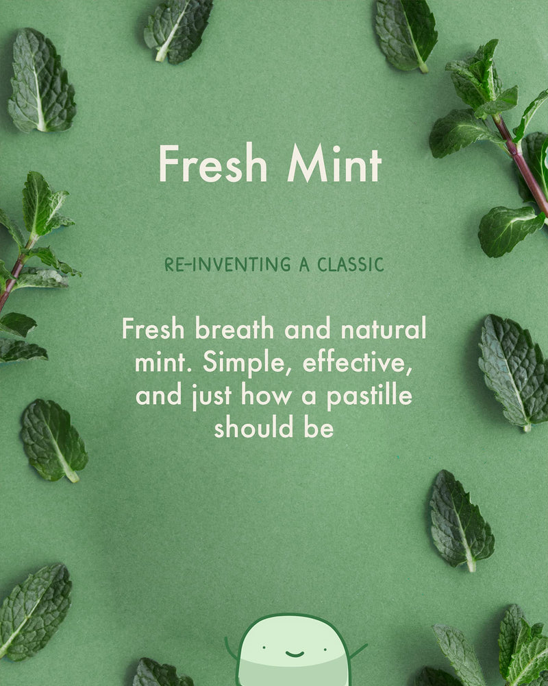 True Mints Mixed Flavours (12-pack) - Sugar Free Mints - Xylitol Mints - Fruit Pastilles - Sugar Free & Plantbased Travel Sweets with Natural Flavours Mixed Flavours Mints 12 Count (Pack of 1) - BeesActive Australia