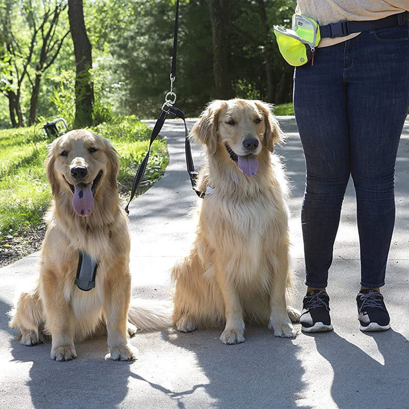 Caldwell's Pet Supply Co. No Tangle Dog Leash Coupler, Double Dog Walker - Trainer Leash - Two Dogs Adjustable Splitter Lead Large - BeesActive Australia