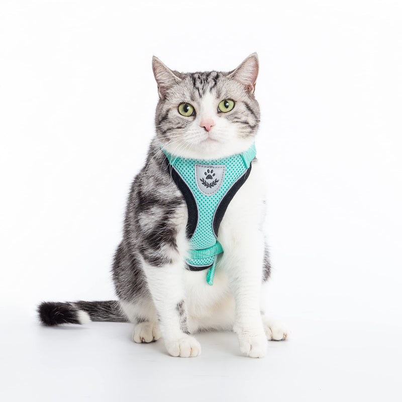 PUPTECK Cat Harness and Leash Set- Adjustable Vest Escape Proof Harness for Kitten Small Medium Cats, Retractable Breathable Soft Mesh for Outside with Reflective Strips M-Neck:11- 13.7" Chest: 18- 20" Green - BeesActive Australia