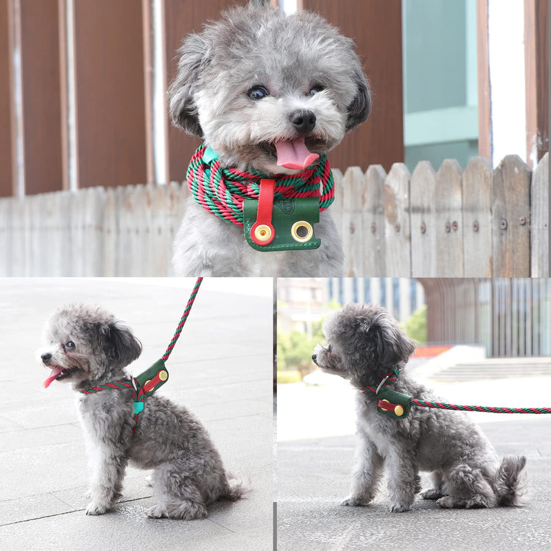 Slip Lead Dog Leash,Dog Harness and Leash Set for Walking - Head Collar with Rope Leash for Pulling - DIY Dog Scarf 6ft Dog Leash x 1/4in Thick Green Slider - BeesActive Australia