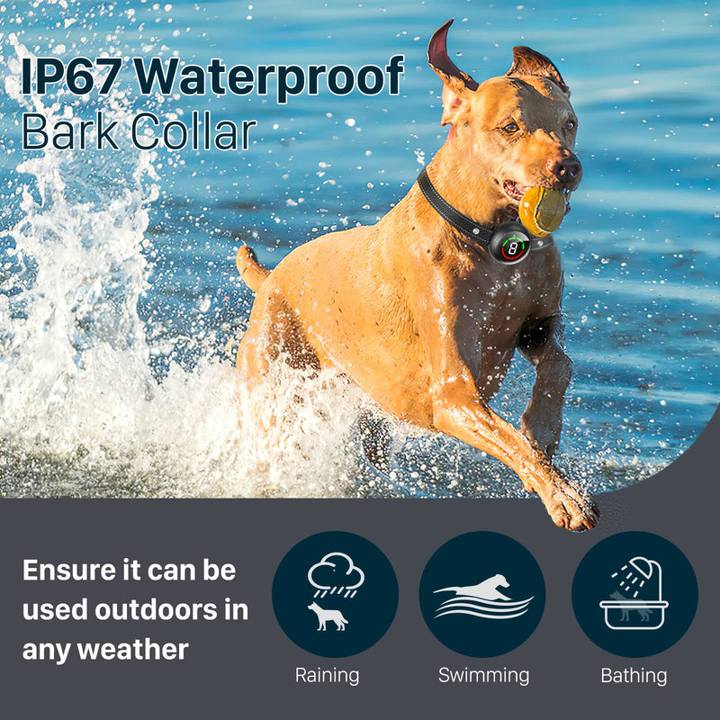 NBJU Dog Bark Collar, Rechargeable Anti Barking Collar with 5 Adjustable Sensitivity, Optional Beep Vibration Shock Mode, Humane Dog Training Collar for Large Medium Small Dogs, IP67 Waterproof Black - BeesActive Australia