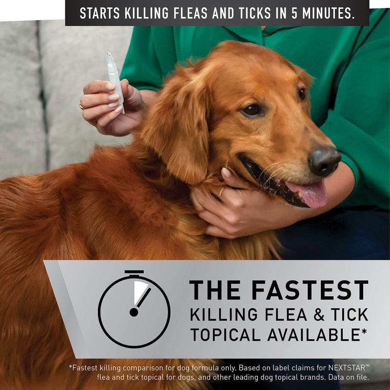 NEXTSTAR Flea & Tick Topical Prevention for Dogs Large Dogs (45-88 lbs) - BeesActive Australia