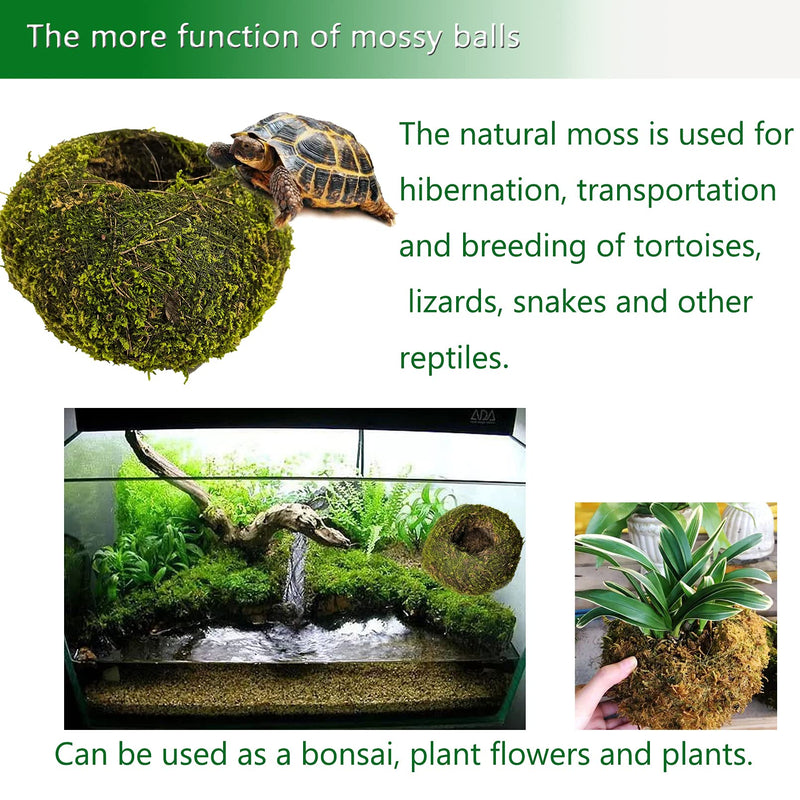 Hamiledyi Reptile Moss Cave Hide,Crested Gecko Habitat Hammock Green Moss Accessories Plastic Terrarium Plant Vines for Small Bearded-Dragon,Snakes,Chameleon Climbing Hibernation Sleeping - BeesActive Australia