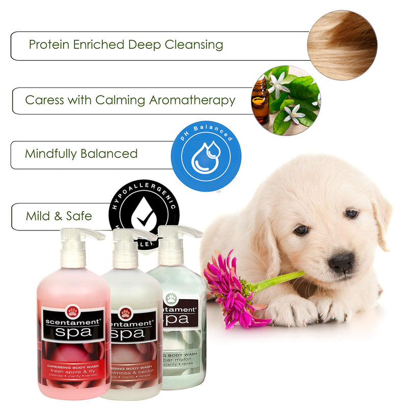 Best Shot Pet Scentament Cucumber Melon Caressing Body Wash 16 oz - BeesActive Australia
