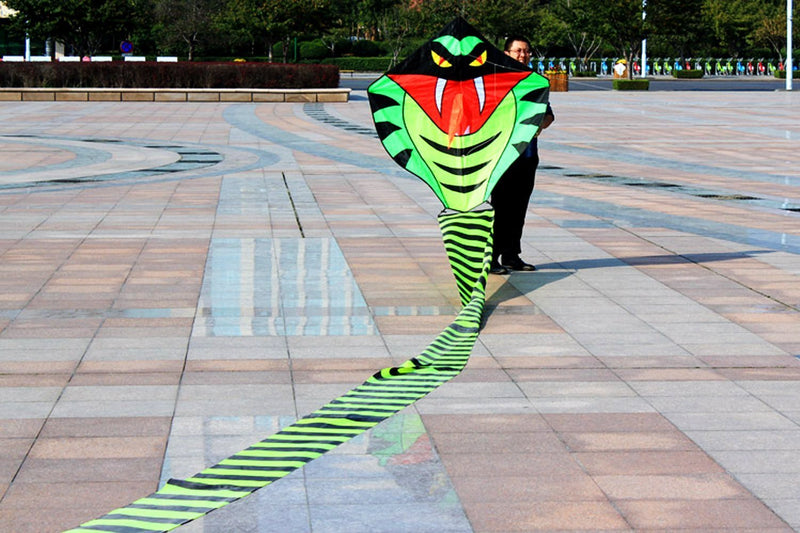[AUSTRALIA] - Hengda kite 15m Large Power Snake Kites with Flying Line Outdoor Fun Sports Kite Cobra 