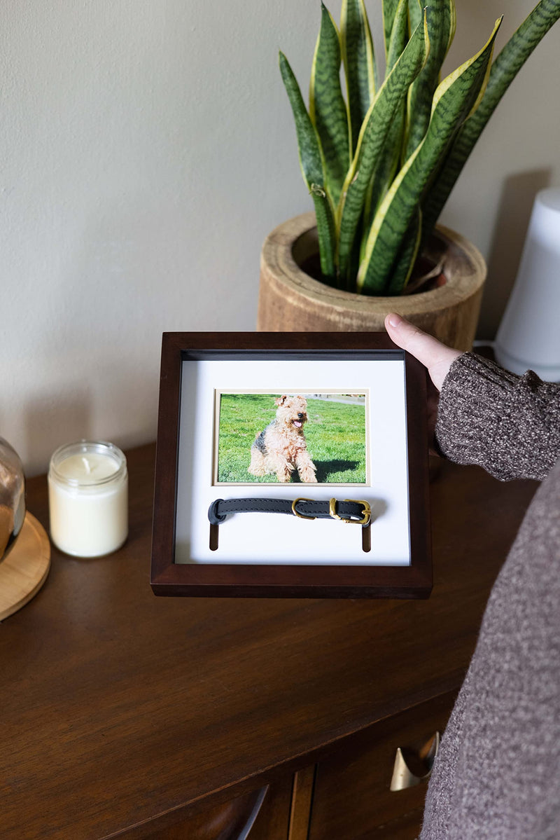 Pearhead Pet Collar Keepsake Picture Frame Espresso Collar Frame - BeesActive Australia