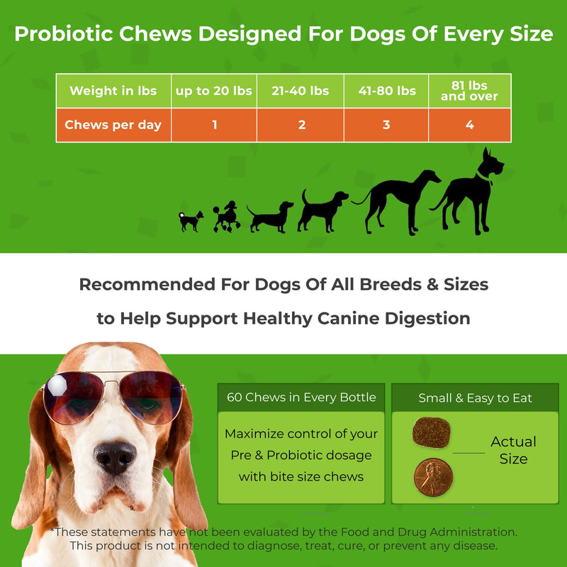 PawMedica Dog Probiotics and Digestive Enzymes, Probiotics for Dogs Made in USA, Pet Probiotic Chews for Dogs, Prebiotics & Probiotic Dog Digestive Support, Probiotic Treats 60 Dog Probiotic Chews - BeesActive Australia