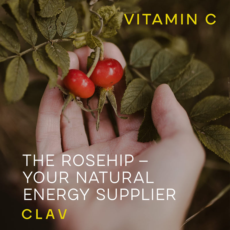Natural Vitamin C 500mg per Daily Dose - High Strength Rosehip Extract - 120 Rosehip Capsules - 60 Days Supply - Made in Germany - Support Immune System & Reduces Tiredness & Fatigue - Vegan Certified - BeesActive Australia