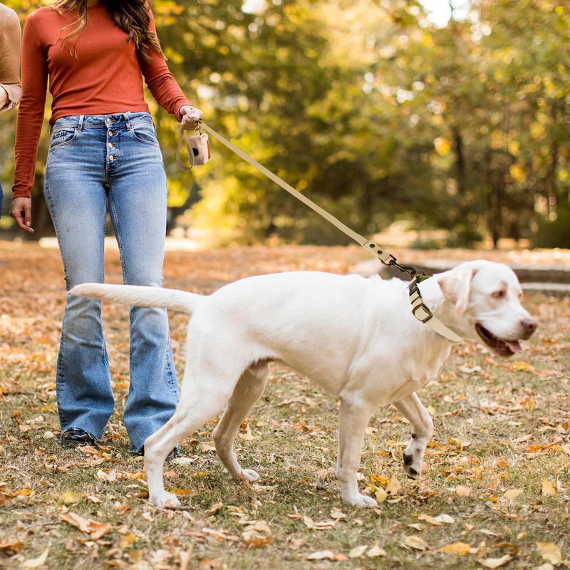 Wisedog Dog Collar and Leash Set Combo: Adjustable Pet Collars with Dog Leashes for Small Medium Large Dogs,Includes 1 Bonus of Poop Bag Holder M(Collar:12"-18";Leash:5 ft) Sand Color - BeesActive Australia