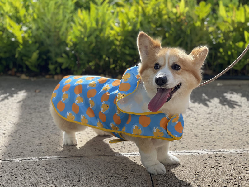 Pooch & Paws Hooded Dog Raincoat Poncho Reflective Waterproof Adjustable Rain Jacket for Small Medium Large Dogs - BeesActive Australia