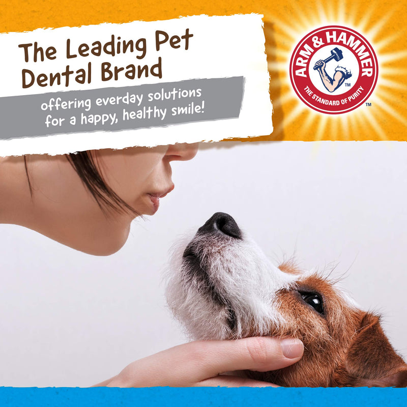 Arm & Hammer for Pets Nubbies Dental Toys - Chew Toy for Dogs, Nubbies Dog Dental Toys - Best Dog Chew Toy, Dental Dog Toys, Arm and Hammer Nubbies Toys for Dogs - Reduces Plaque & Tartar Buildup Gator 1-Pack - BeesActive Australia