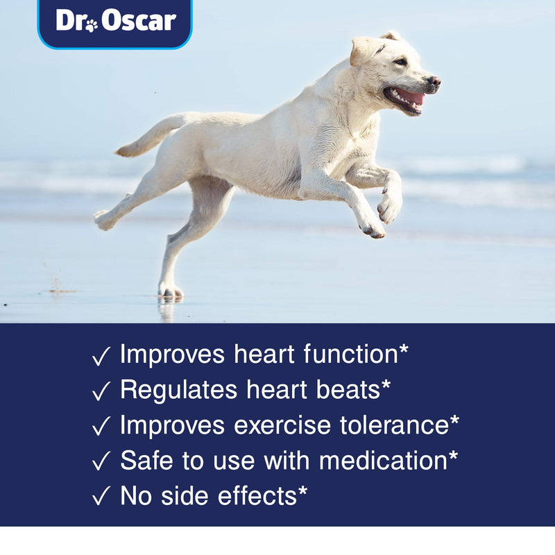 Taurine Supplement for Dogs, Meets RDA of 500 mg per 25lbs Weight Unlike Most Competitors, 120ct, Vet Endorsed for Enlarged Heart (DCM), Congestive Heart Failure (CHF) Taurine Deficiency, Heart Murmur - BeesActive Australia