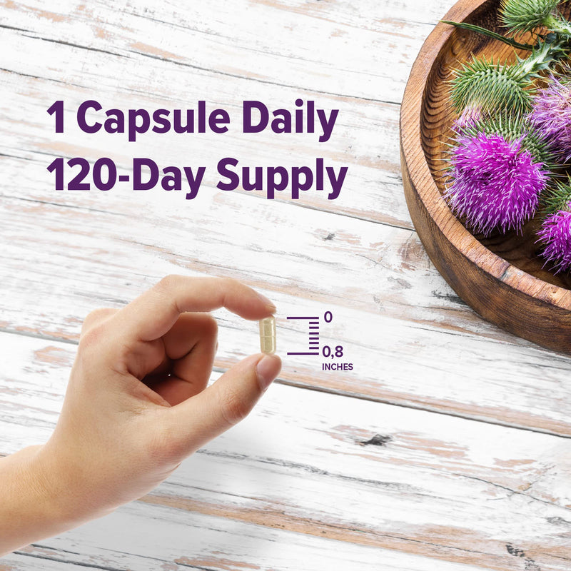 ORZAX Milk Thistle Supplement, Extra Strength Blend Formula, 80% Silymarin with Dandelion and Artichoke, Dairy-Free, 120 Vegetable Capsules - BeesActive Australia