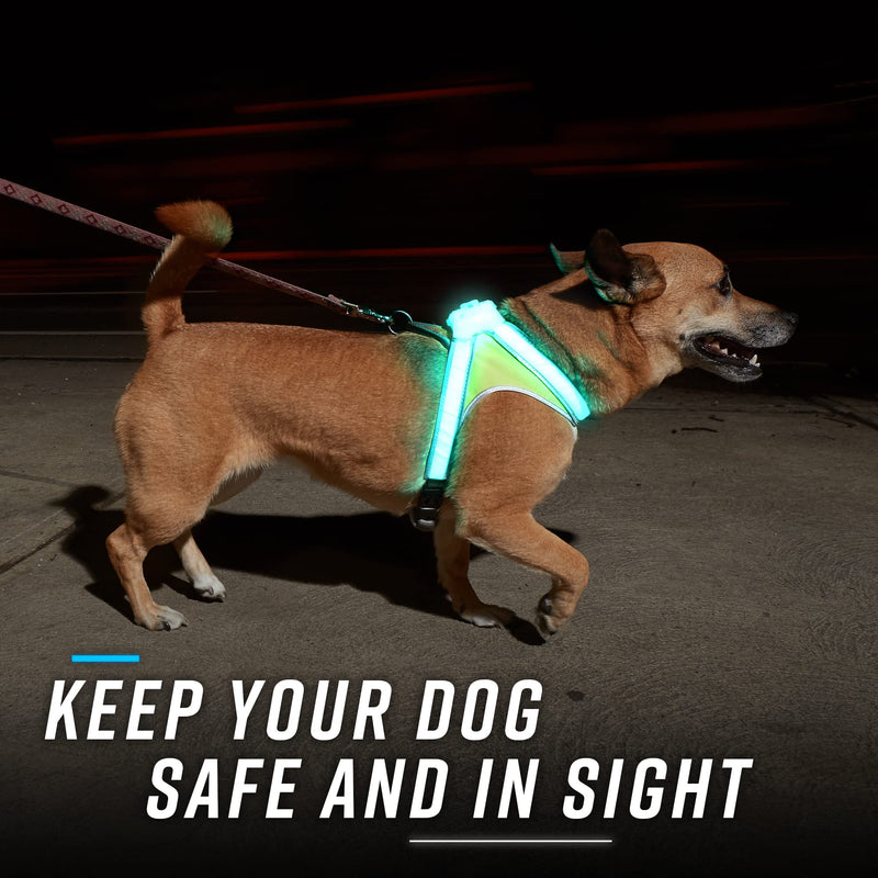 noxgear LightHound – Revolutionary Illuminated and Reflective Harness for Dogs Including Multicolored LED Fiber Optics (USB Rechargeable, Adjustable, Lightweight, Rainproof) Medium - BeesActive Australia