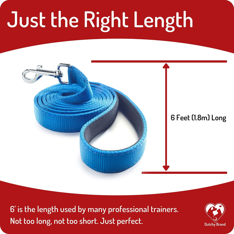 Dog Leash for Medium, Large and Small Dogs - 6 Foot Dog Leashes for Training and Daily Walks - Durable Sizes in Lightweight and Heavy Duty for Small and Large Breeds 2-Layer Blue - BeesActive Australia