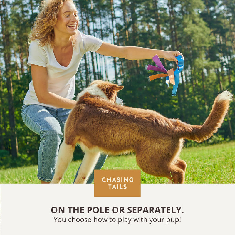 Chasing Tails Flirt Pole For Dogs Large Breed Heavy Duty - Dog Flirt Pole Teaser, Dog Exercise Equipment, Spring Pole for Dogs, Dog Training Toys Dog Flirt Pole for Large Dogs Chase Stick Catcher Pole - BeesActive Australia