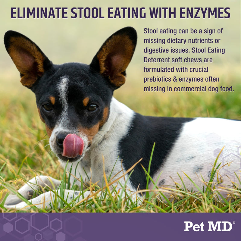 Pet MD Stool Eating Deterrent - Prevent Dog from Eating Poop - Coprophagia Aversion with Enzymes, Herbs, & Prebiotics for Digestive Support & Fresh Breath - Stop Stool Eating Chews - 60 ct - BeesActive Australia