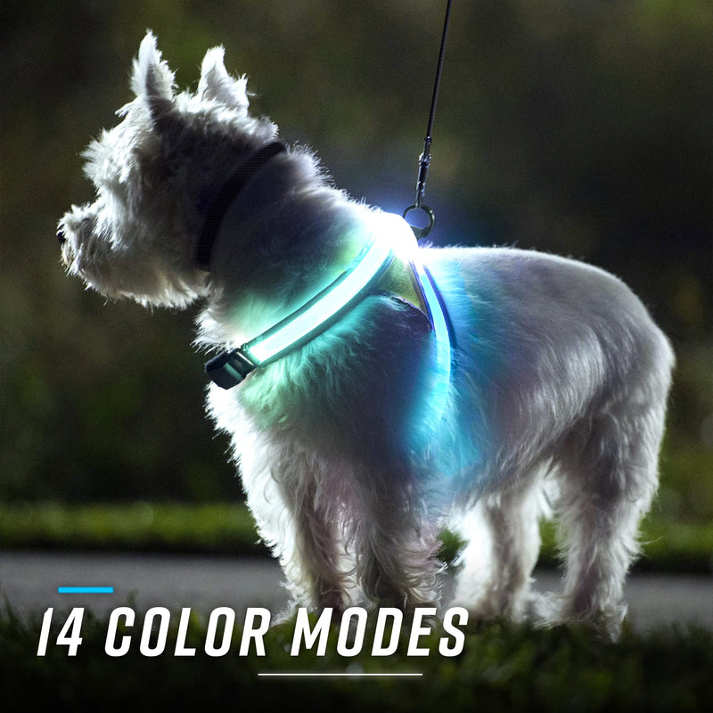 noxgear LightHound – Revolutionary Illuminated and Reflective Harness for Dogs Including Multicolored LED Fiber Optics (USB Rechargeable, Adjustable, Lightweight, Rainproof) Medium - BeesActive Australia