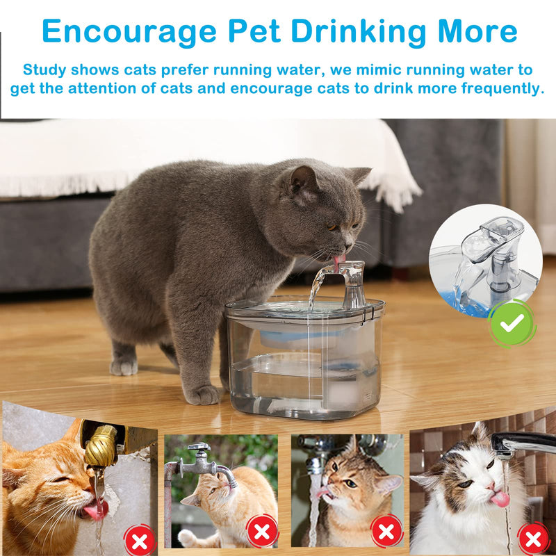 Kactoily Cat Water Fountain Stainless Steel Cat Automatic Water Dispenser 61oz/1.8L Ultra-Quiet Pet Drinking Water Fountain Dog Fountain Water Bowl for Cats or Small Dog Z: Blue/White Replacement Filters - BeesActive Australia