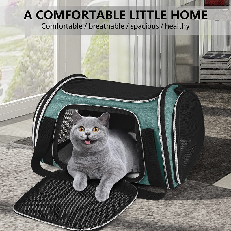 BAGLHER Pet Travel Carrier, Airline Approved Cat Carriers, Dog Carrier,Suitable for Small and Medium-Sized Cats and Dogs Pet Soft Carrier, Suitable for Travel, Hiking, and Outdoor Use. Green - BeesActive Australia