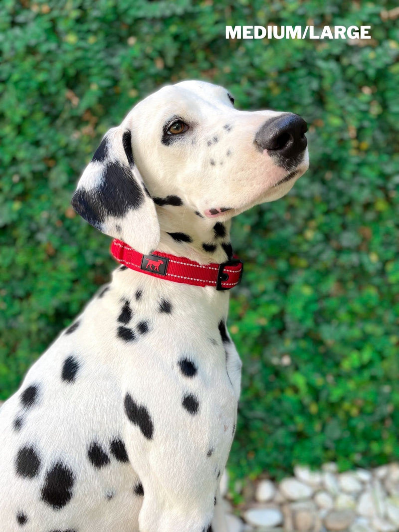 Tuff Pupper Heavy Duty Dog Collar with Handle | Ballistic Nylon Heavy Duty Collar | Padded Reflective Dog Collar with Adjustable Stainless Steel Hardware | Convenient Sizing for All Breeds Medium/Large (14 - 18" Neck) March Red - BeesActive Australia
