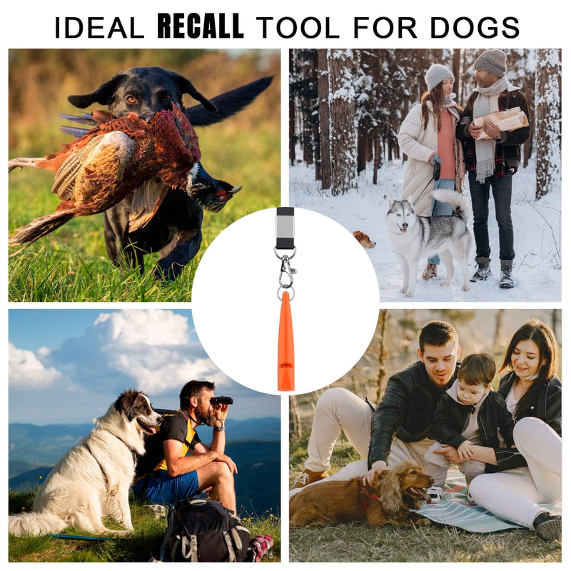 TDL 2 Pack Gundog Whistle with Lanyard - Black & Orange Used for Recall & Dog Training - Long Distance - Loud Pitch - Dog Whistle - Consistent Frequency - BeesActive Australia