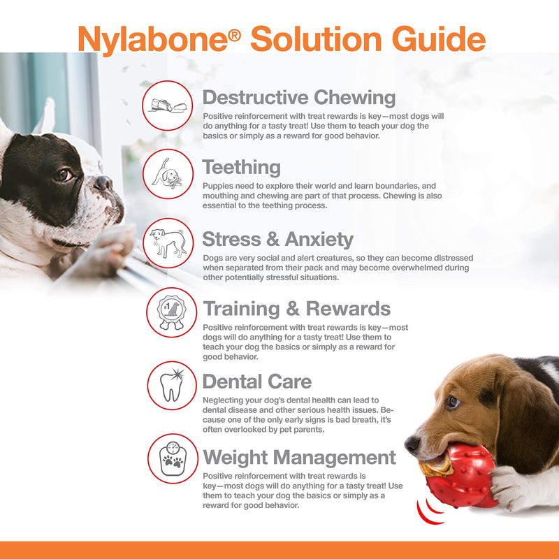 Nylabone Power Chew Alternative Dog Chew Toys for Medium/Large/X-Large Dogs Antler Venison Large/Giant (1 Count) - BeesActive Australia