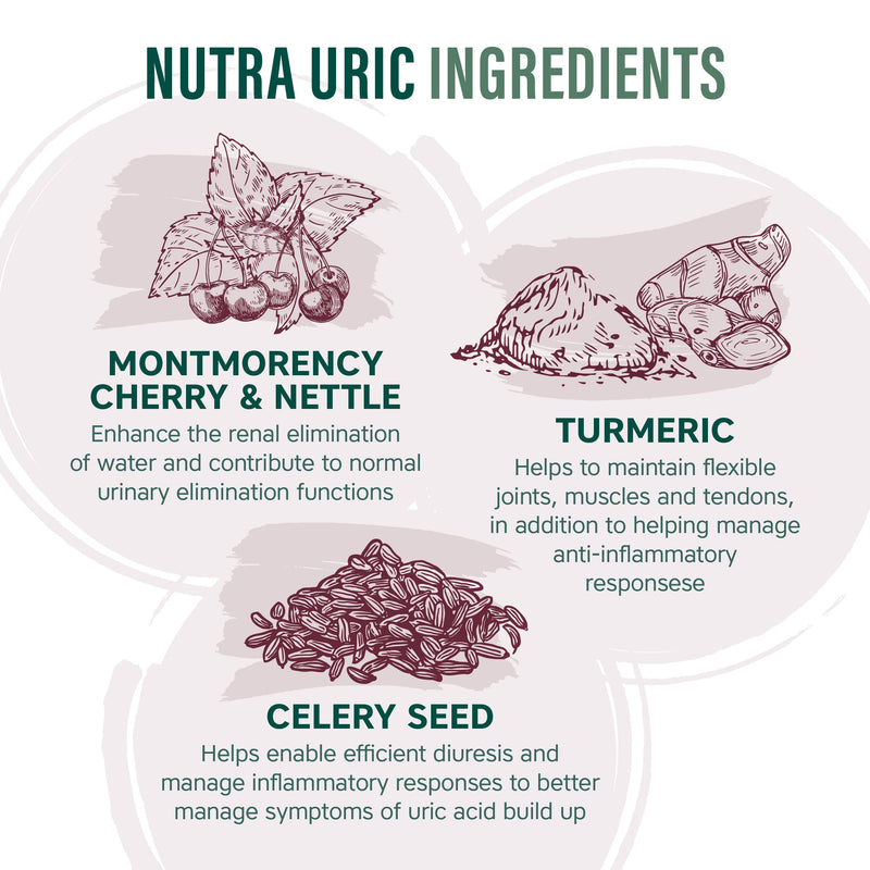 NUTRA URIC - 4000mg Montmorency Cherry| Ultra High Strength - 30 Cherry Tablets| Uric Acid Tablets/Supplement by NutraVit - BeesActive Australia