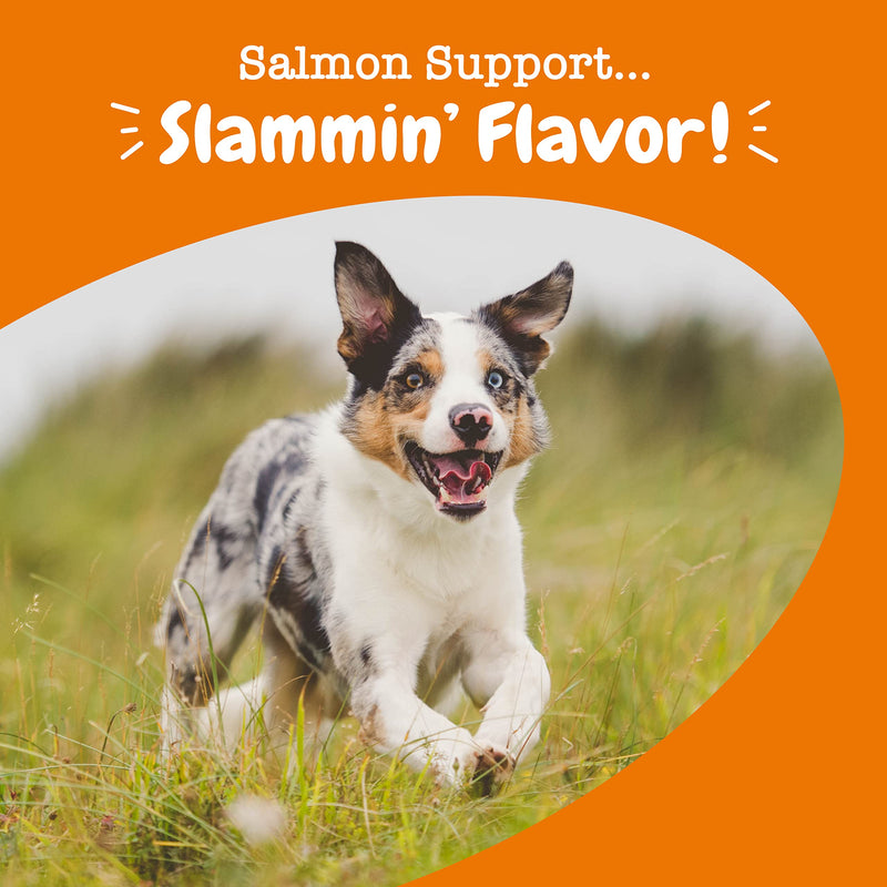 Zesty Paws Salmon Fish Oil Omega 3 for Dogs - with Wild Alaskan Salmon Oil - Anti Itch Skin & Coat + Allergy Support - Hip & Joint + Arthritis Dog Supplement + EPA & DHA 90 Count (Pack of 1) - BeesActive Australia