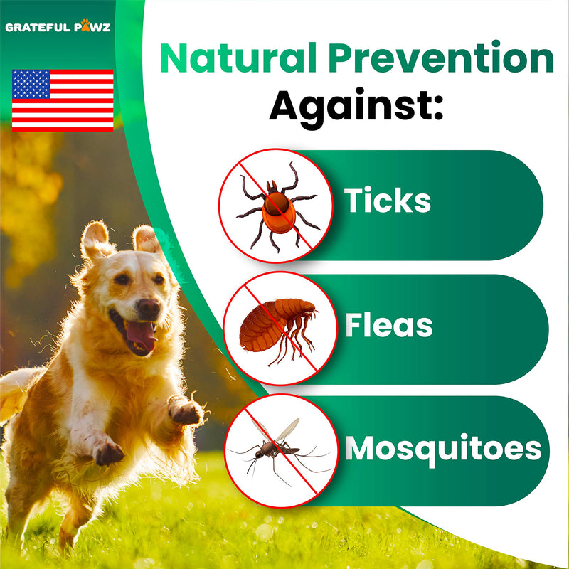 Flea and Tick Prevention for Dogs Chewables - Natural Dog Flea & Tick Control Supplement - Flea and Tick Chews for Dogs - Oral Flea Pills for Dogs - All Breeds and Ages - Soft Tablets - Made in USA - BeesActive Australia