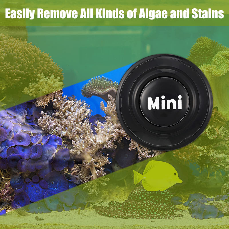 Cunhill 2 Pieces Mini Aquarium Glass Cleaner Magnetic Algae Scraper Magnetic Glass Cleaner No Scratch Magnet Fish Tank Glass Cleaner Magnetic Brush for Small Fish Tank Glass and Acrylic Aquarium Black - BeesActive Australia