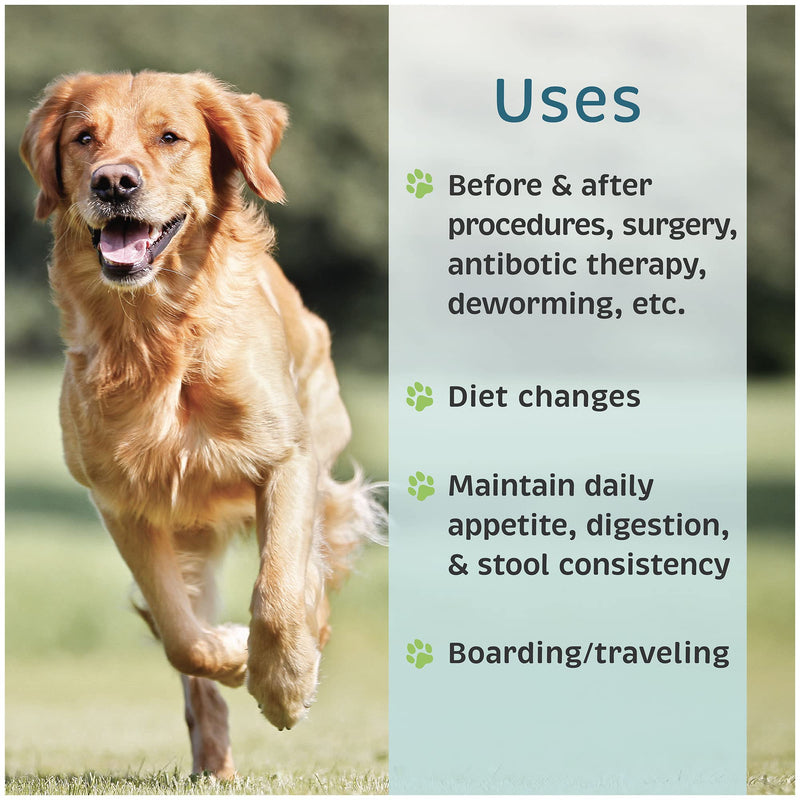 VetOne Advita Probiotic Nutritional Supplement for Dogs 1 Box, 30 Packets - BeesActive Australia