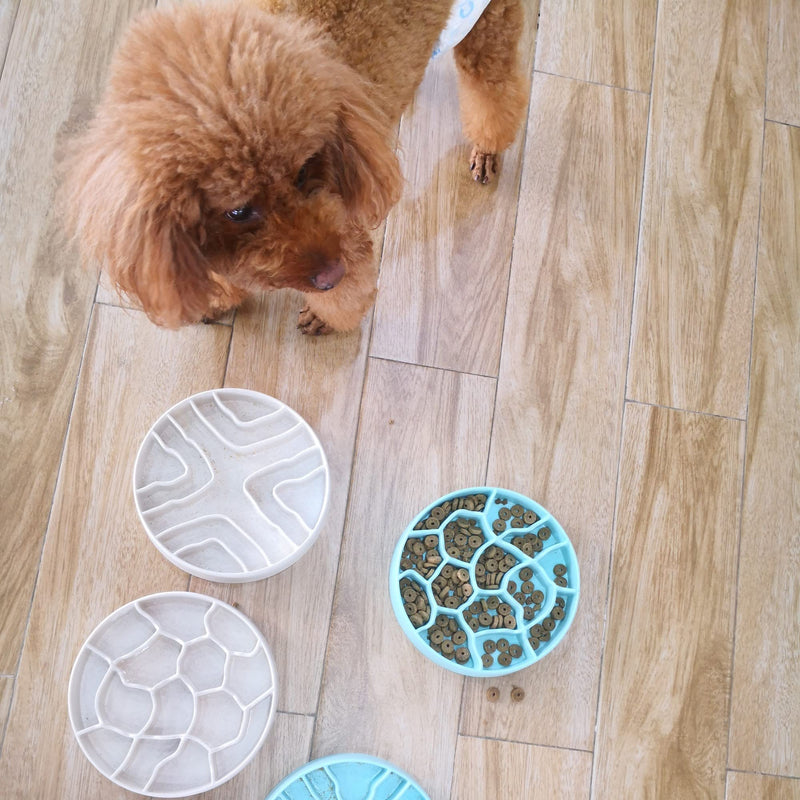 8-Inch Slow Feeder Dog Bowl, Dog Bowl, Maze Pet Bowls,Cat Bowls,Anti Gulping Healthy Eating, Slow Feeder Pet Bowl, Slow Eating Healthy Design for Small Medium Size Dogs & Cats Primary color - BeesActive Australia