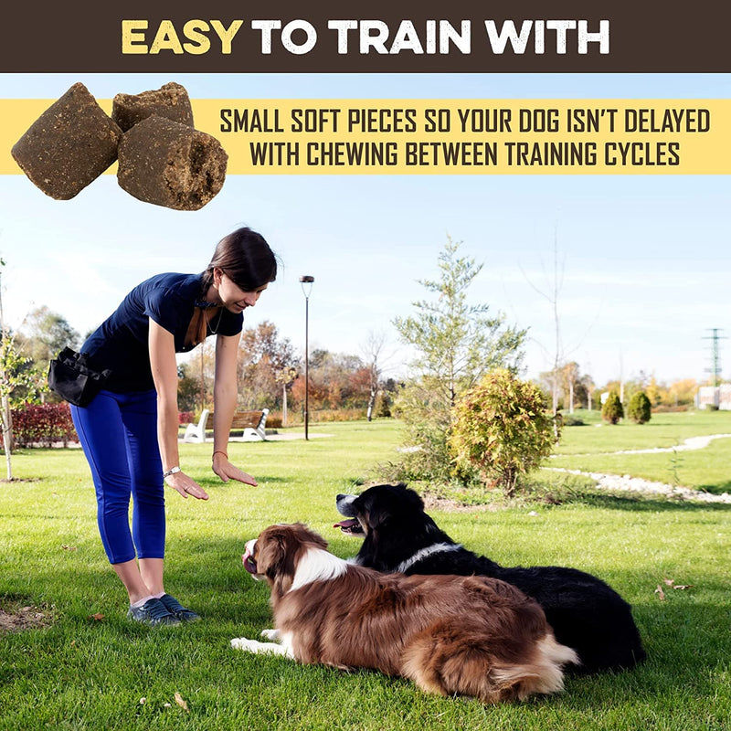 BRUTUS & BARNABY Training Treats for Dogs - Peanut Butter & Banana - All-Natural Healthy Low Calorie Vegan Treat - Great to Use for Rewards in Training Your Puppy Or Dog 1 Pound (Pack of 1) - BeesActive Australia