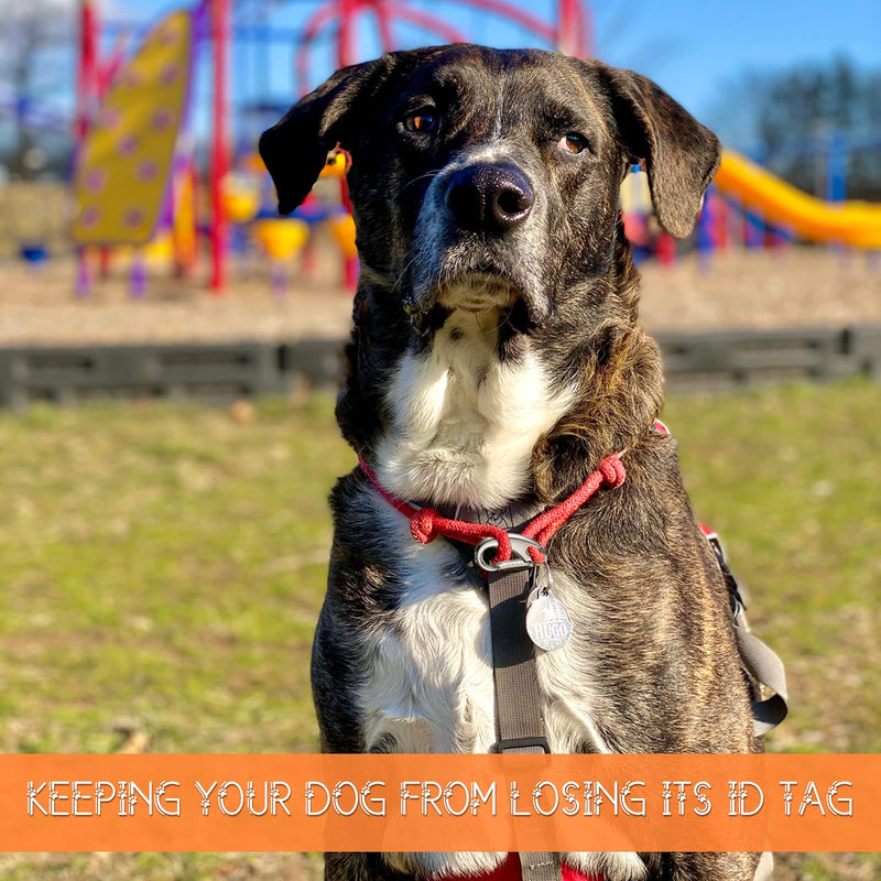 18 Pieces Leash Dog Tag Clip Pet ID Tag Pet Tag Clip Quick Clip Combos Durable Dog ID Tag with Rings, Stainless Steel Quick Clips Pet ID Tag Holder for Dog Cat (Silver, 1.9 Inch，1.3 Inch，0.8 Inch) - BeesActive Australia