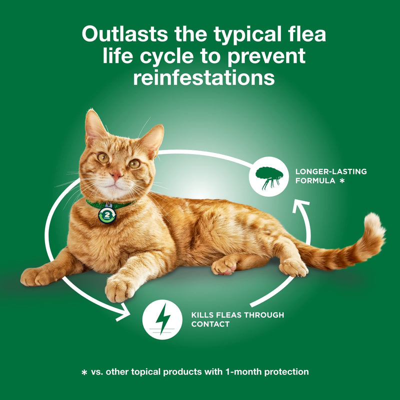 Advantage XD Long-Lasting Flea Prevention & Treatment for Large Cats (Over 9 lbs) 1 Pack - BeesActive Australia