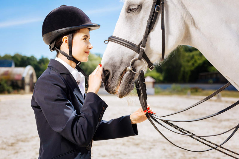 18" Real Riding Crop English Whip with Genuine Leather Top | Premium Quality Crops | Equestrianism Horse Crop - BeesActive Australia