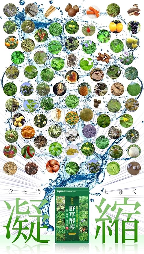 SeedComs Wild Plant Enzyme Supplement, Vegetables, Wild Plants, Fruits, Fermentation, Aging, Diet, Approx. 3 Month Supply, 90 Capsules) - BeesActive Australia