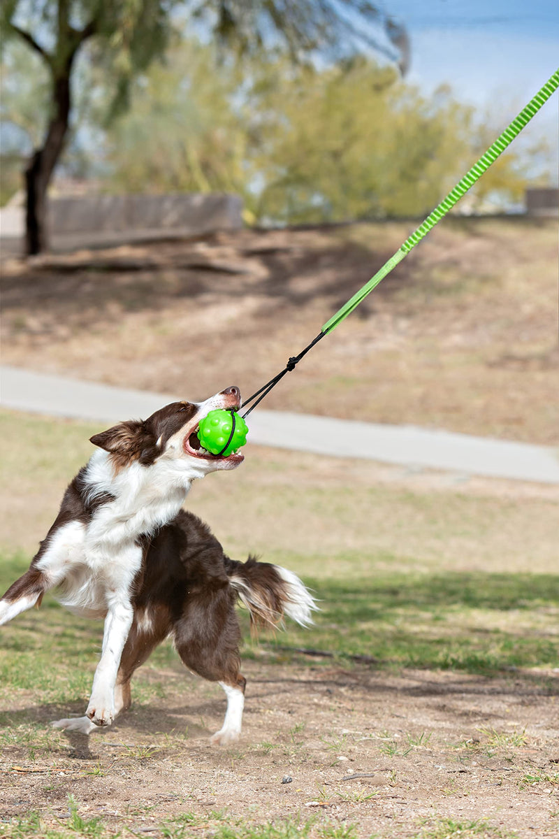 Jolly Pets Tree Tugger,Green - BeesActive Australia