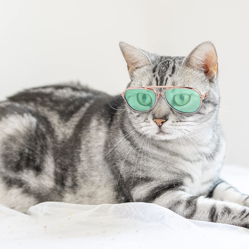 Molain Cat Sunglasses- Pet Puppy UV Protection Sunglasses Dolls Sun Glasses, Small Dog Cosplay Photo Props Cute Sunglasses 4Pcs- Aviator Sunglasses - BeesActive Australia
