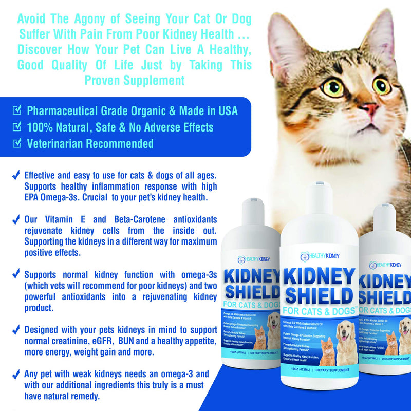 Dog and Cat Kidney Support, Canine Feline Renal Health Support Supplement For Normal Kidney Function, Creatinine, Detox, Urinary Track Cleansing, Best Kidney Stuff, Improve Pets Alive an Kidney Health - BeesActive Australia