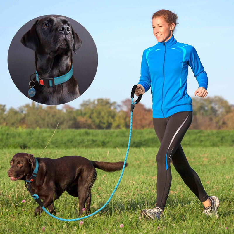 Ladoogo Heavy Duty Dog Leash - Comfortable Padded Handle, 5 ft Long - Dog Leashes for Small Medium Large Dogs Small (Pack of 1) Blue Leash+Collar - BeesActive Australia