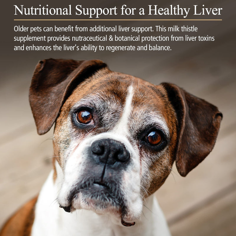 Rx Vitamins Hepato Support for Dogs & Cats - Milk Thistle Supplement for Pets - 100mg Milk Thistle for Healthy Liver Function - Silymarin Capsules for Pets - 180 ct. - BeesActive Australia