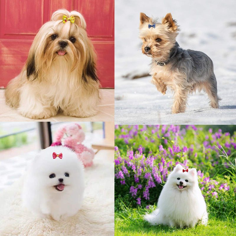 Clip in Dog Bows 60pcs in Box Dog Hair Bows Clips Dog Hair Clips Puppy Yorkie Accessories - BeesActive Australia