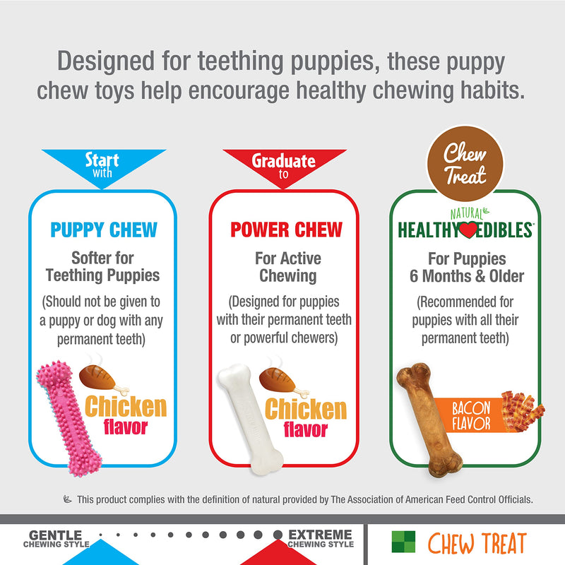 Nylabone Puppy Chew Toys for Teething Puppies | Small/Regular - Up to 25 Ibs. Pink Bone Lamb & Apple Small/Regular (3 Count) - BeesActive Australia