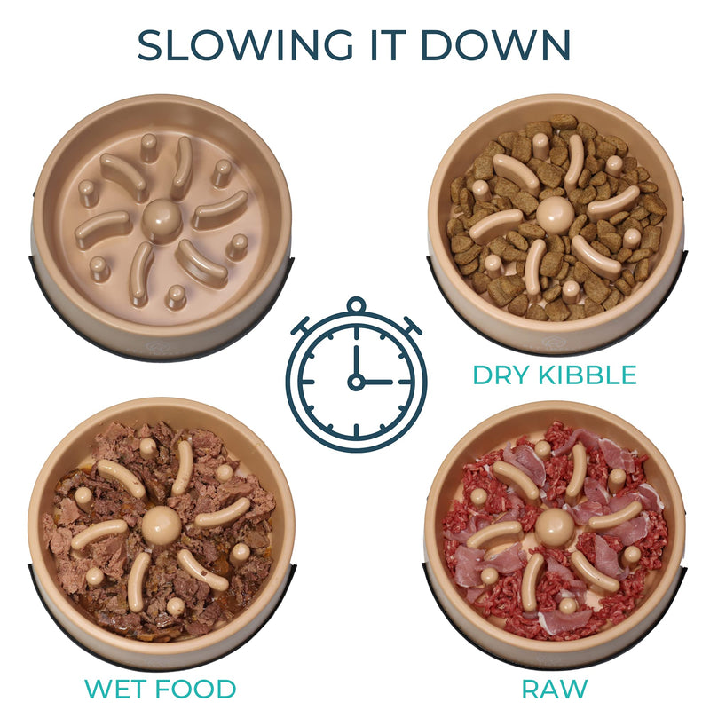 PET IMPACT Slow Feeder Dog Bowl, Natural Bamboo Fibre Bowl to Slow Down Eating, Prevent Risk of Choke Bloat Overeating with Interactive Feeding Medium Earth - BeesActive Australia