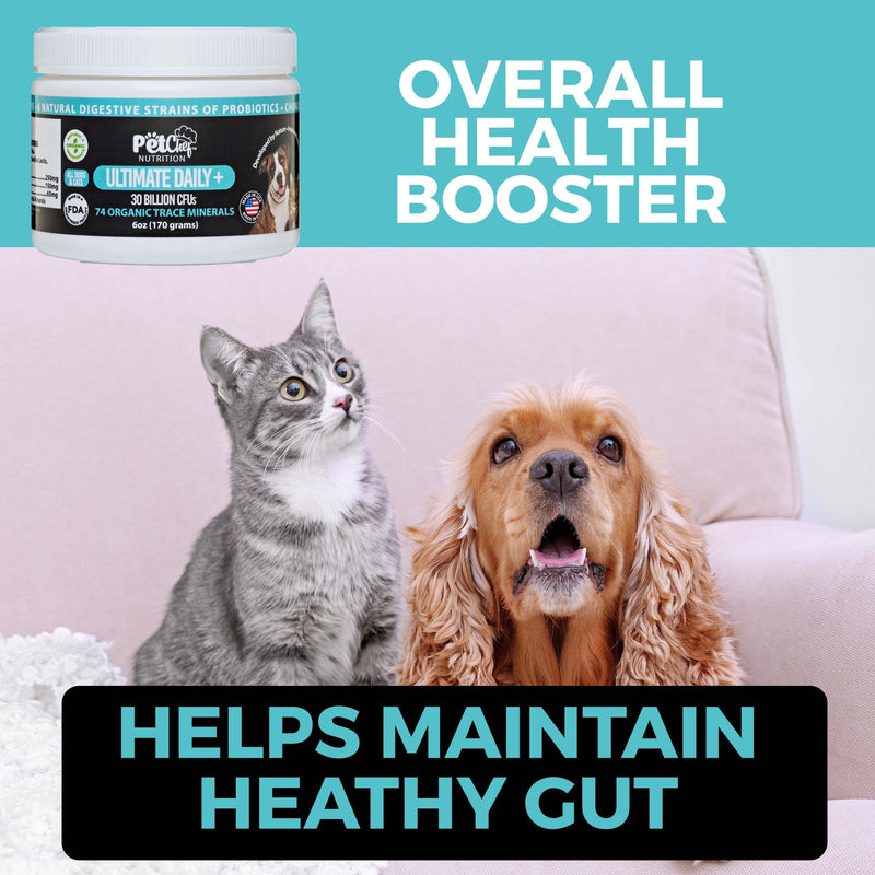 Pet Chef Nutrition Probiotic Powder for Dogs | Includes 30 Billion CFUs, 6 Probiotics, 74 Organic Minerals, MSM, Chondroitin, & Glucosamine | Joint, Gut, Digestive Health, & Diarrhea - 212 Servings - BeesActive Australia