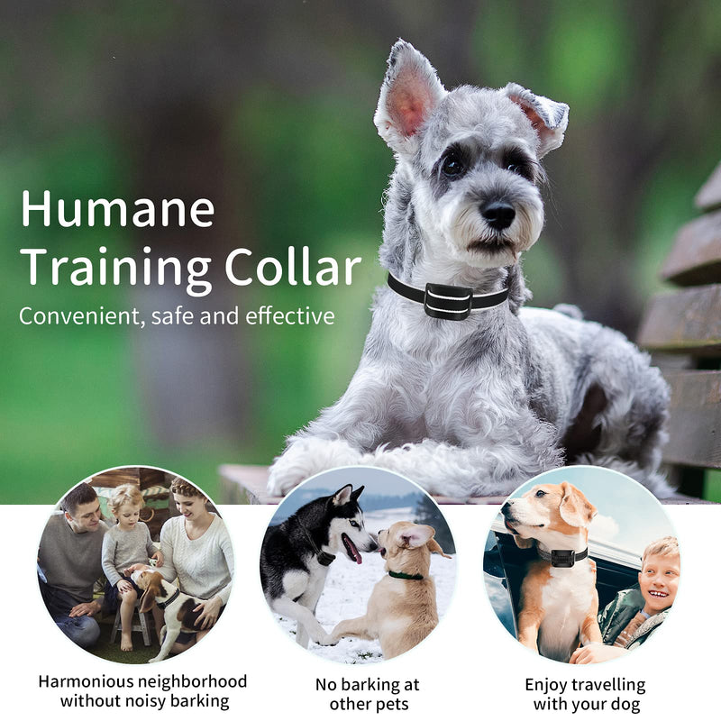 MASBRILL Small Dog Bark Collar, No Bark Collars Anti Barking Collar for Small Dogs Small Most Humane Stop Barking Collar Rechargeable Bark Collar with 7 Sensitivity and Intensity Beep Vibration Black - BeesActive Australia