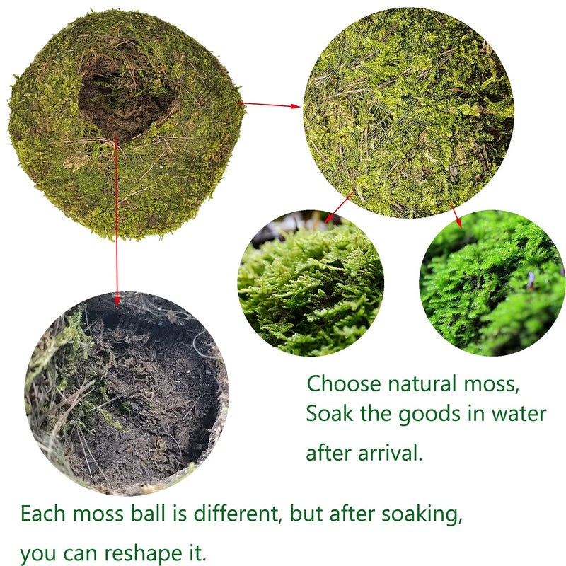 Hamiledyi Reptile Moss Cave Hide,Crested Gecko Habitat Hammock Green Moss Accessories Plastic Terrarium Plant Vines for Small Bearded-Dragon,Snakes,Chameleon Climbing Hibernation Sleeping - BeesActive Australia